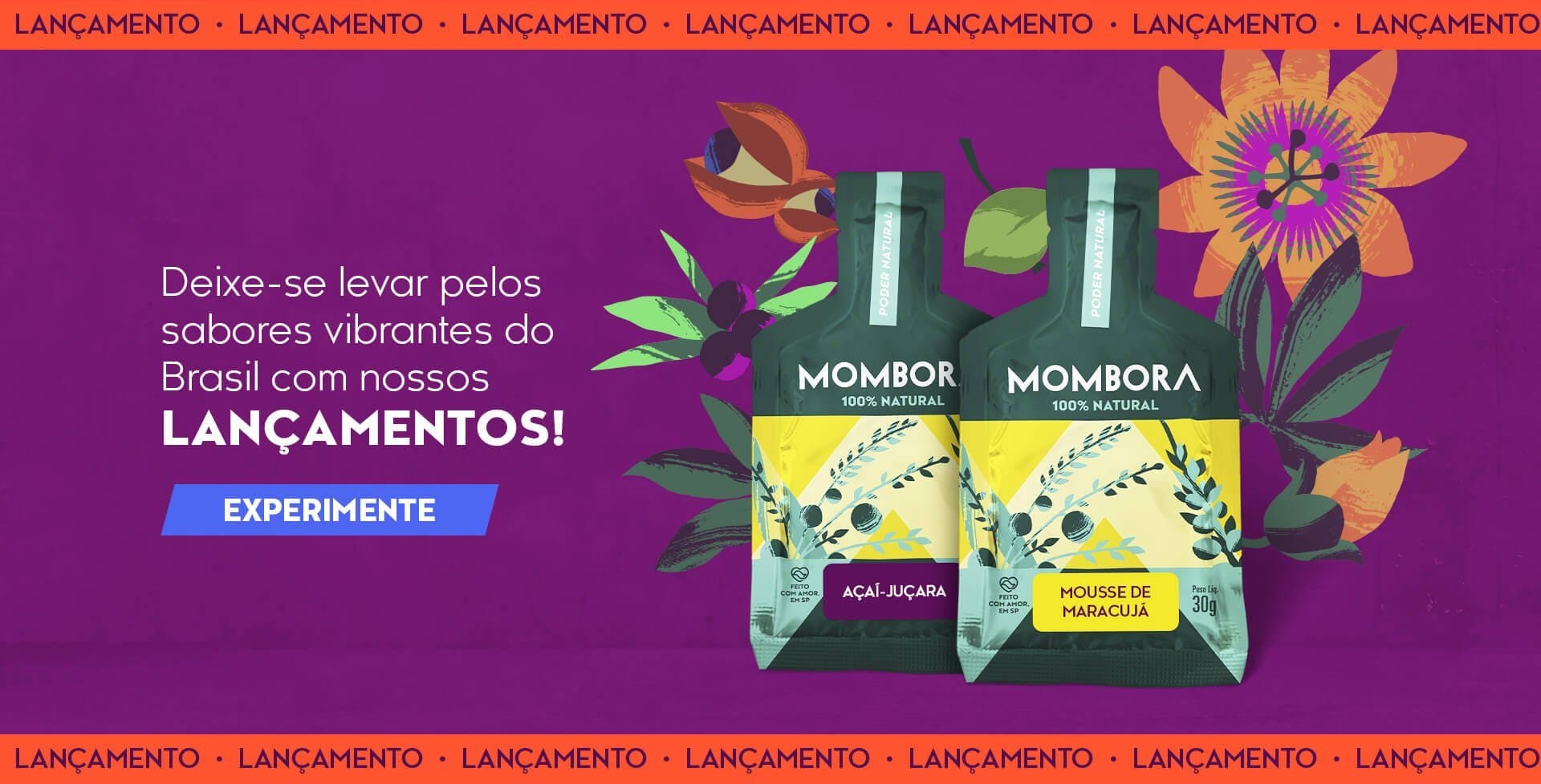 Banner Lançamento
