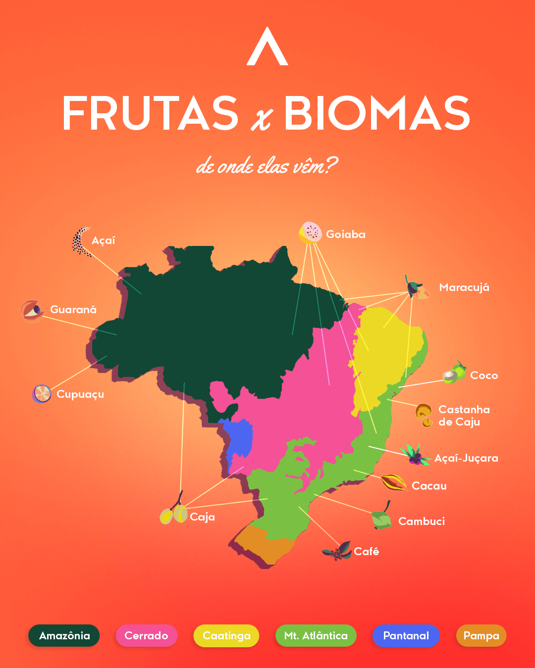 Map Fruit