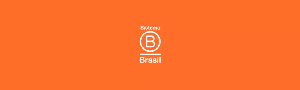 Você sabe o que significa Sistema B?