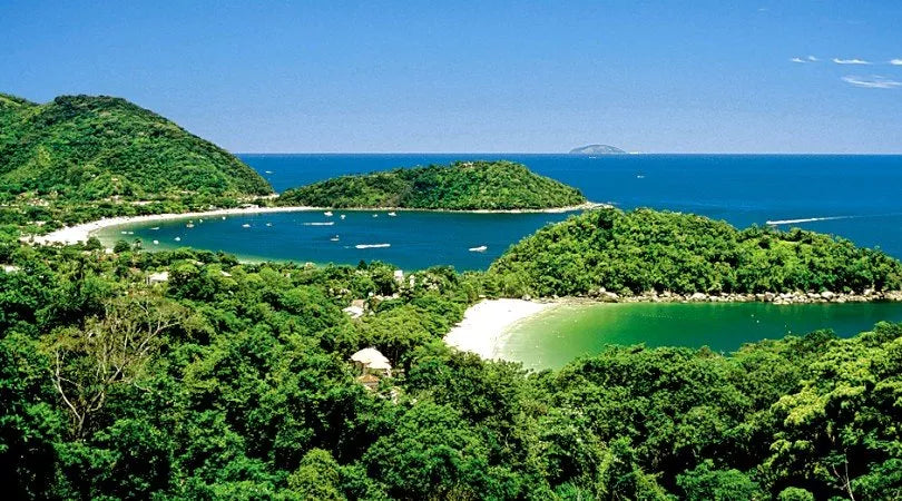 Bioma Mata Atlântica