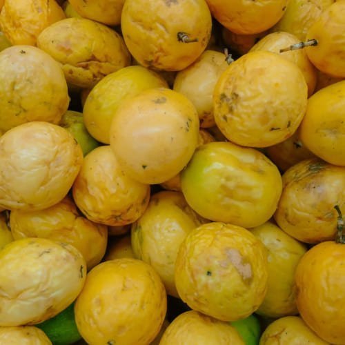 Maracujá